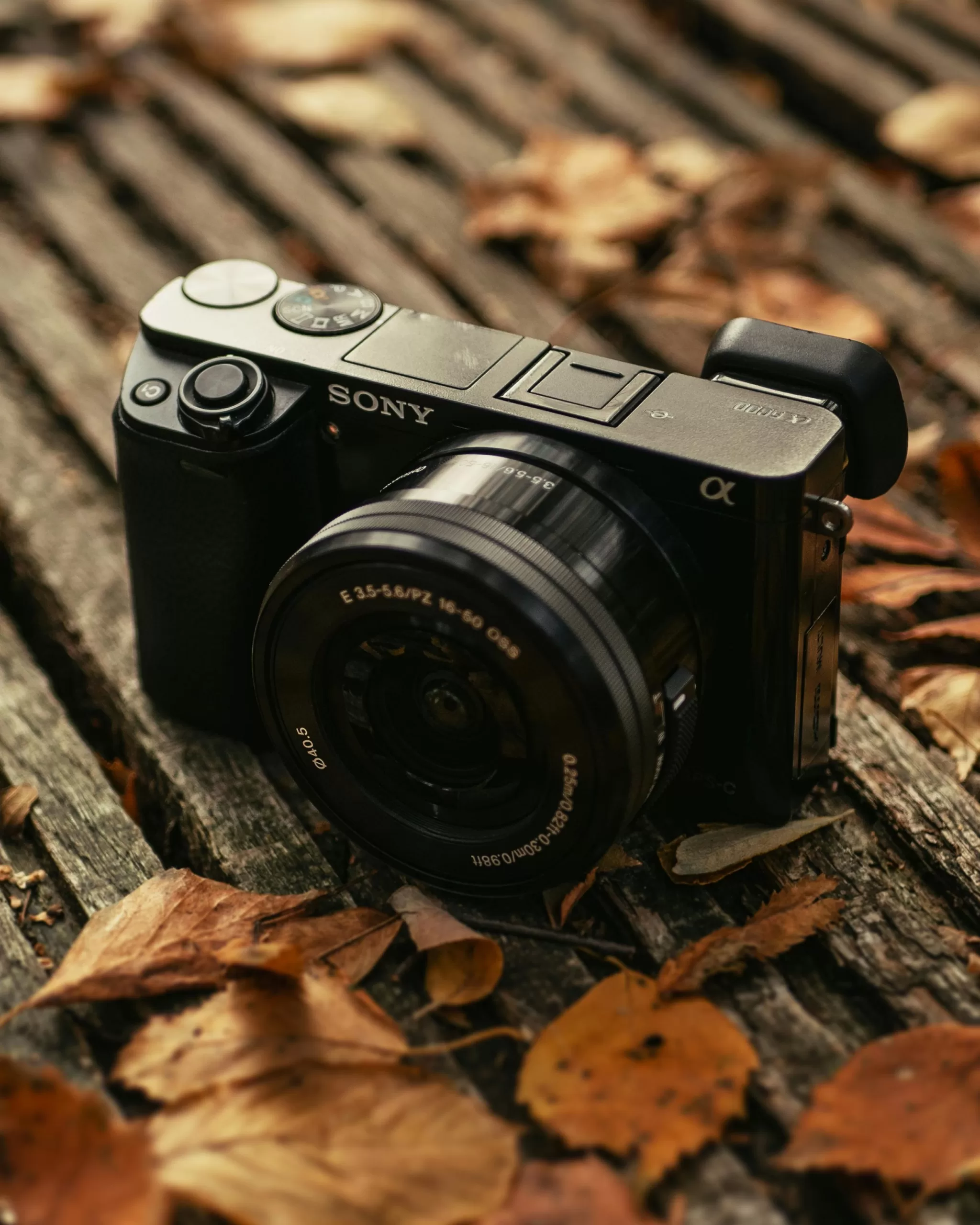 Camera cover image for photography