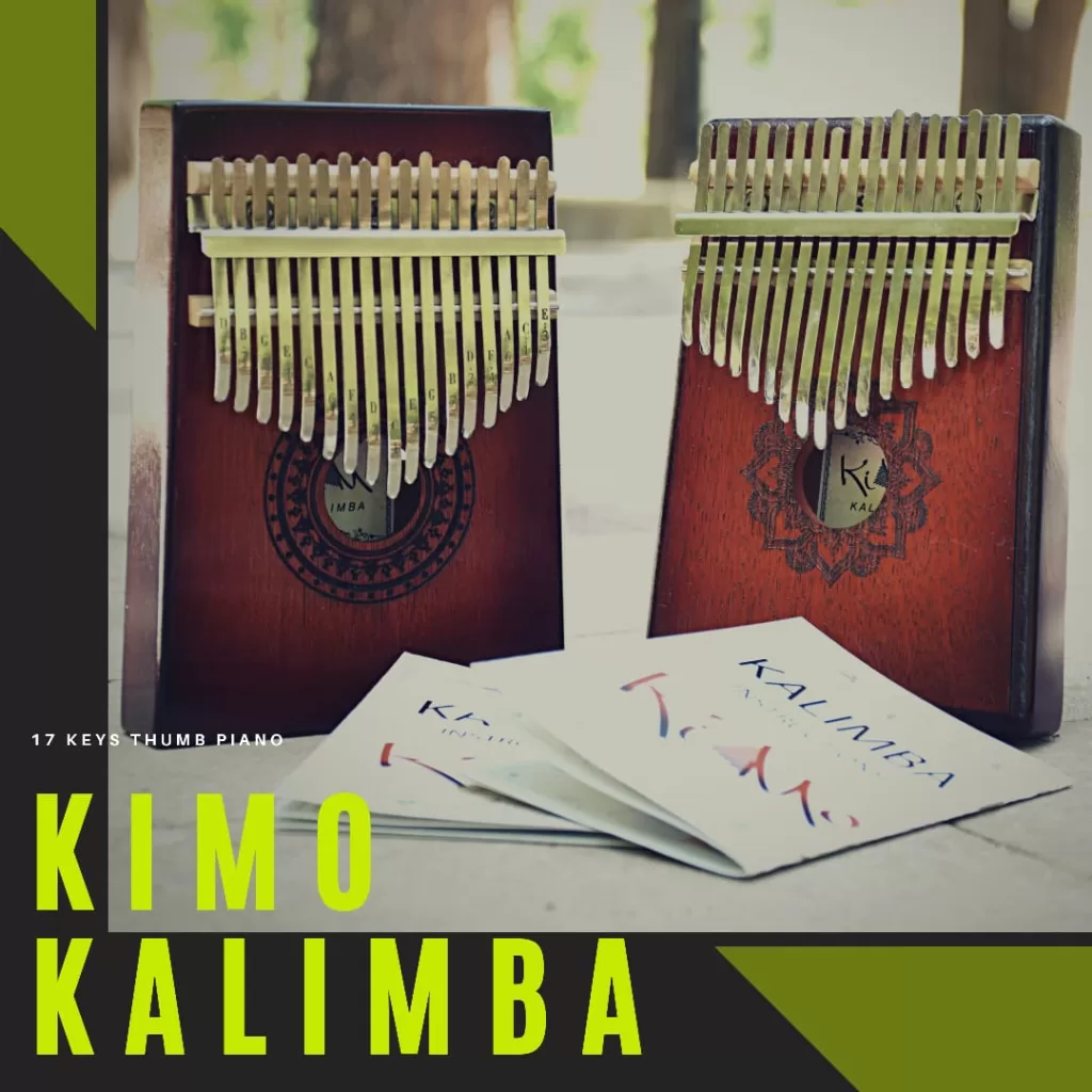 photo of 2 kalimba instruments